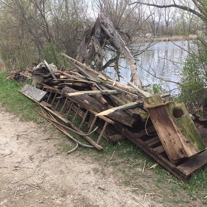 Rome Pond Wildlife Area Wisconsin Waterfowl Association