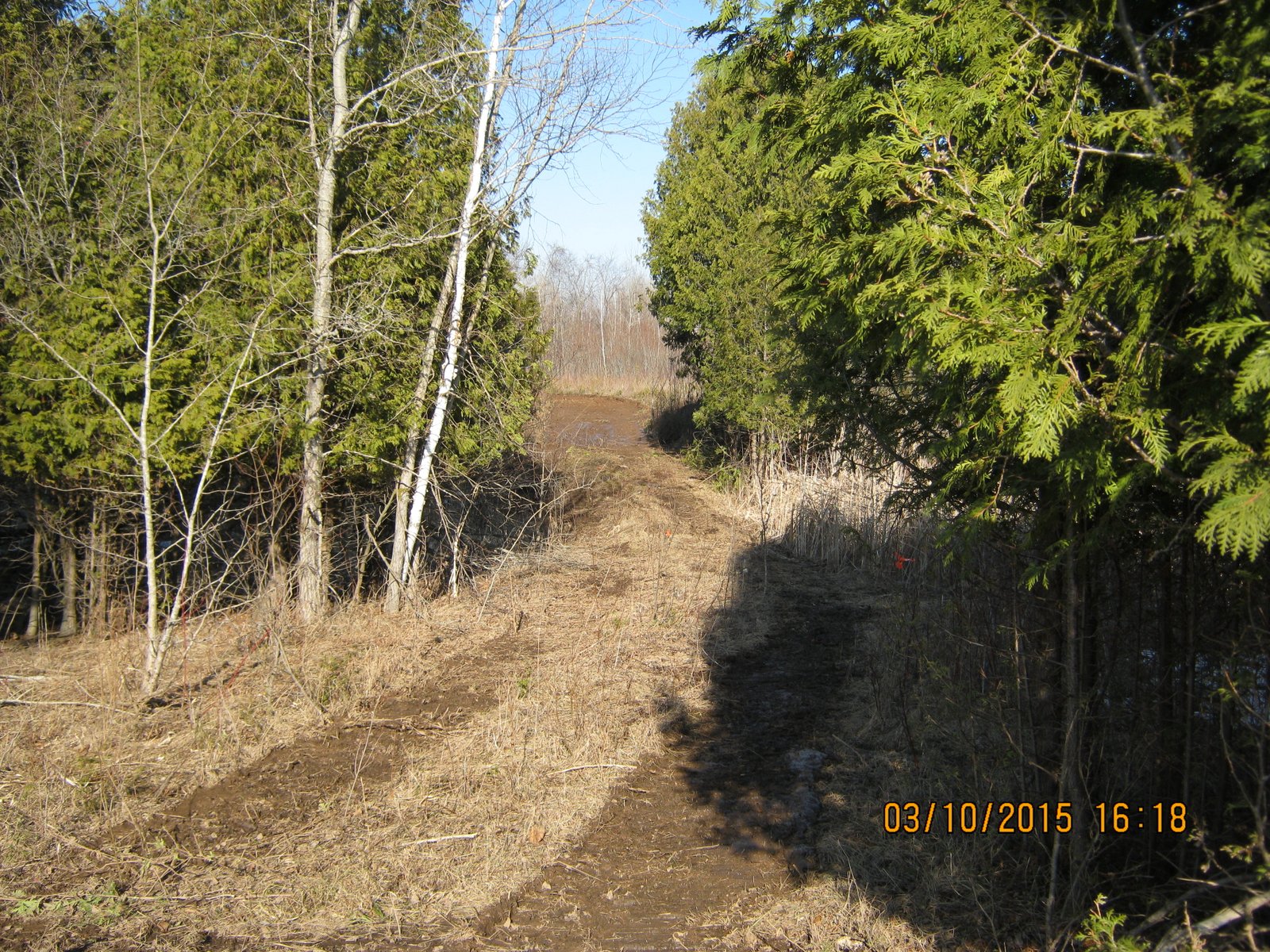 Abrams Trail Construction 2 Wisconsin Waterfowl Association