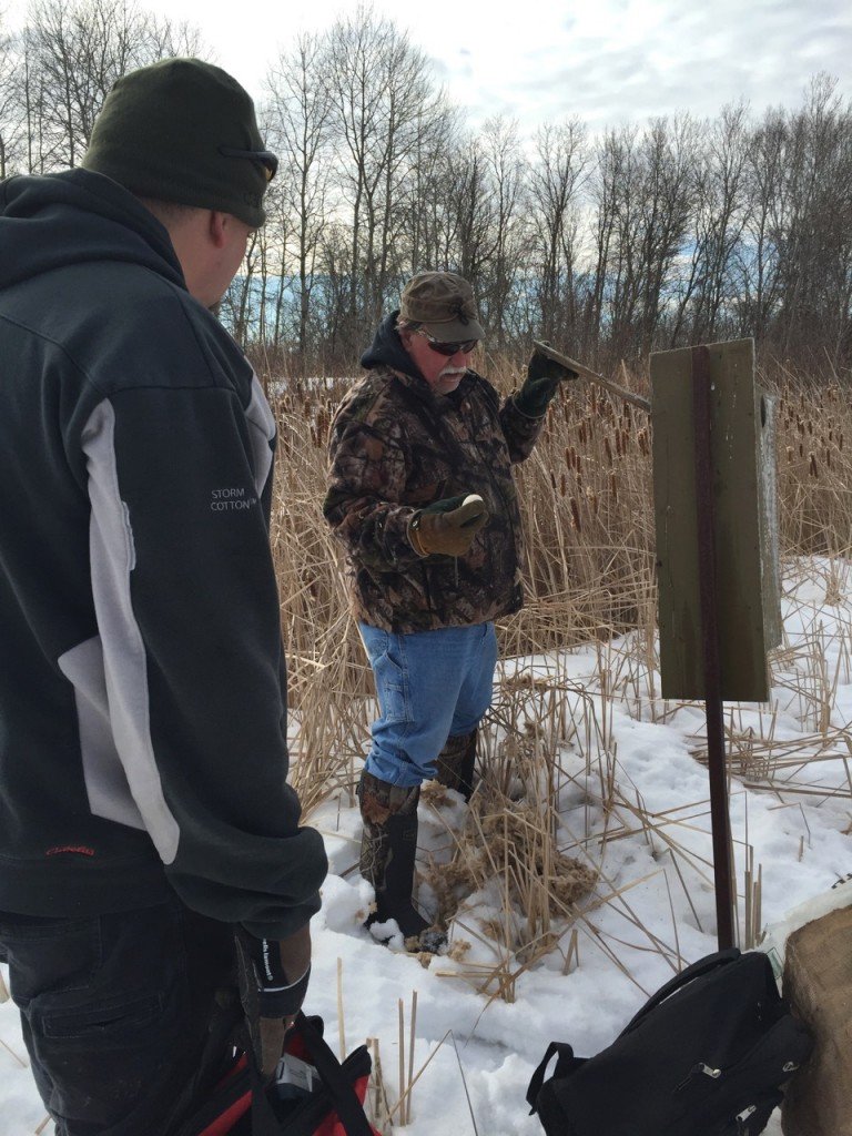 Wood Duck Box Maintenance Wisconsin Waterfowl Association