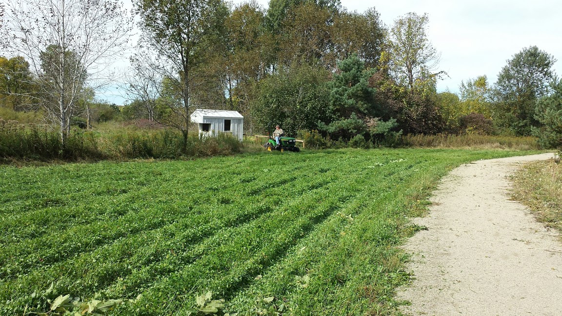 20150929_mowing food plot near deer blind 1