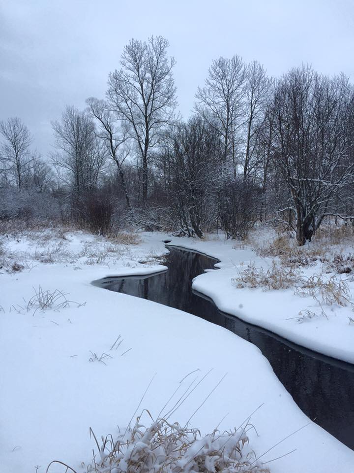 Bayside Creek – January 2016