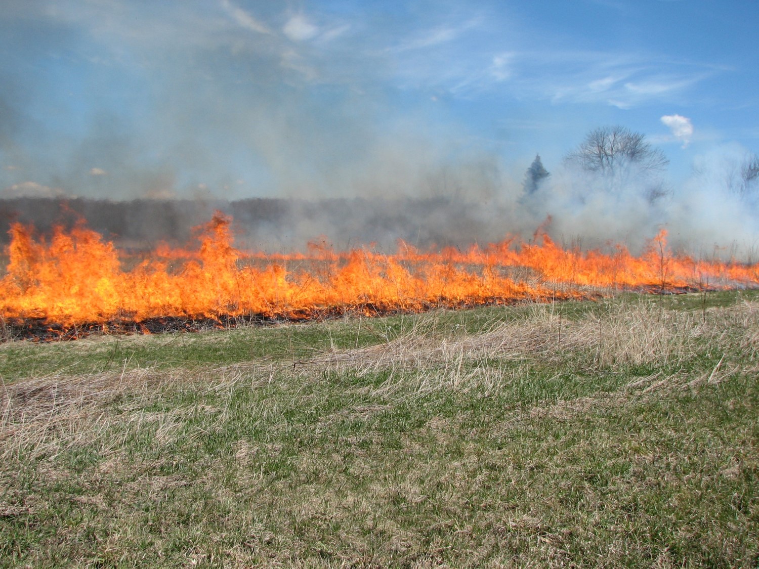 Controlled burning