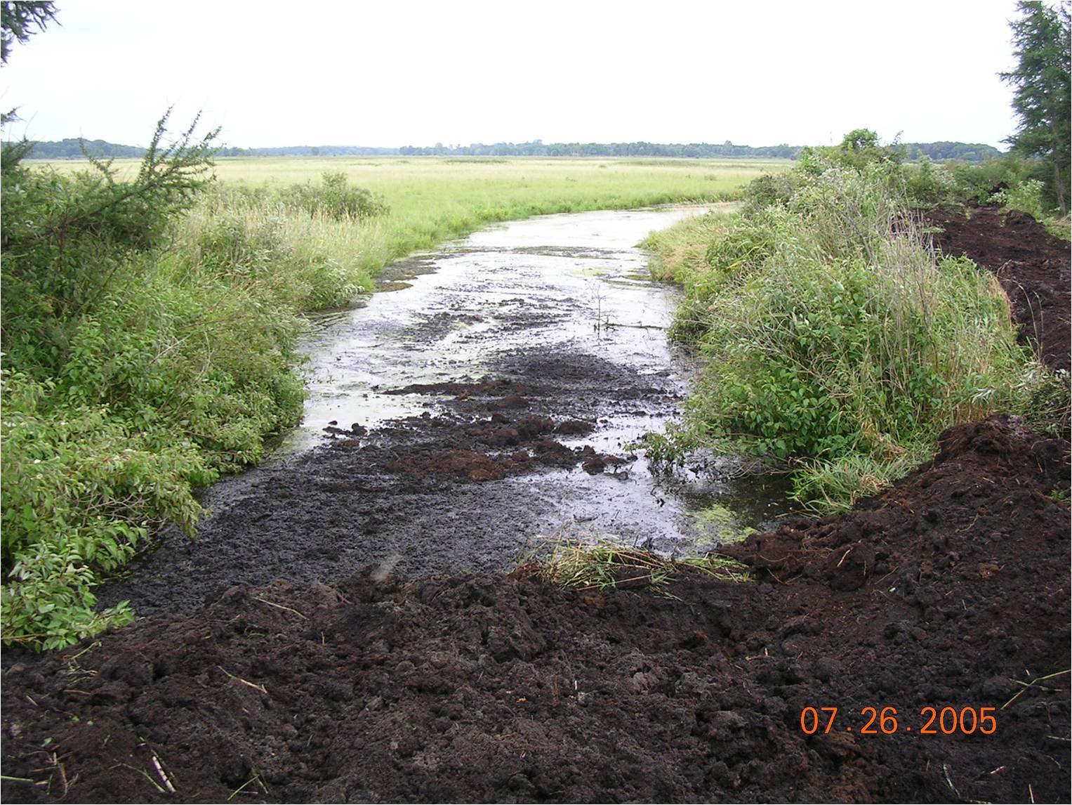 Ditch fill 2
