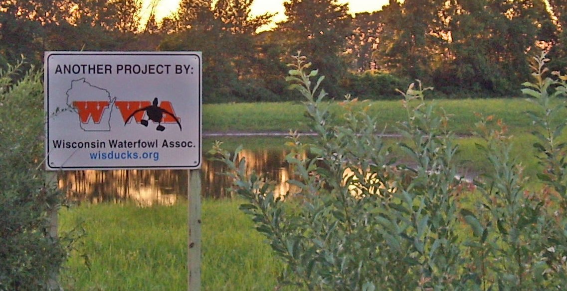 Peterson Project 1
