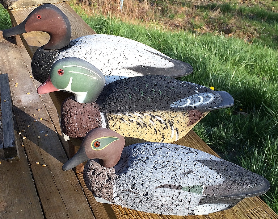 Rare Vintage 1960's American Field Co Duck Hunting /