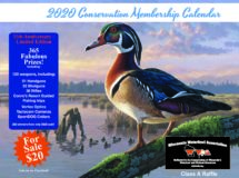 Conservation Calendar