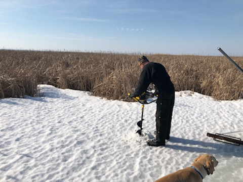 Valley Wood Duck Box Install March 2020.5