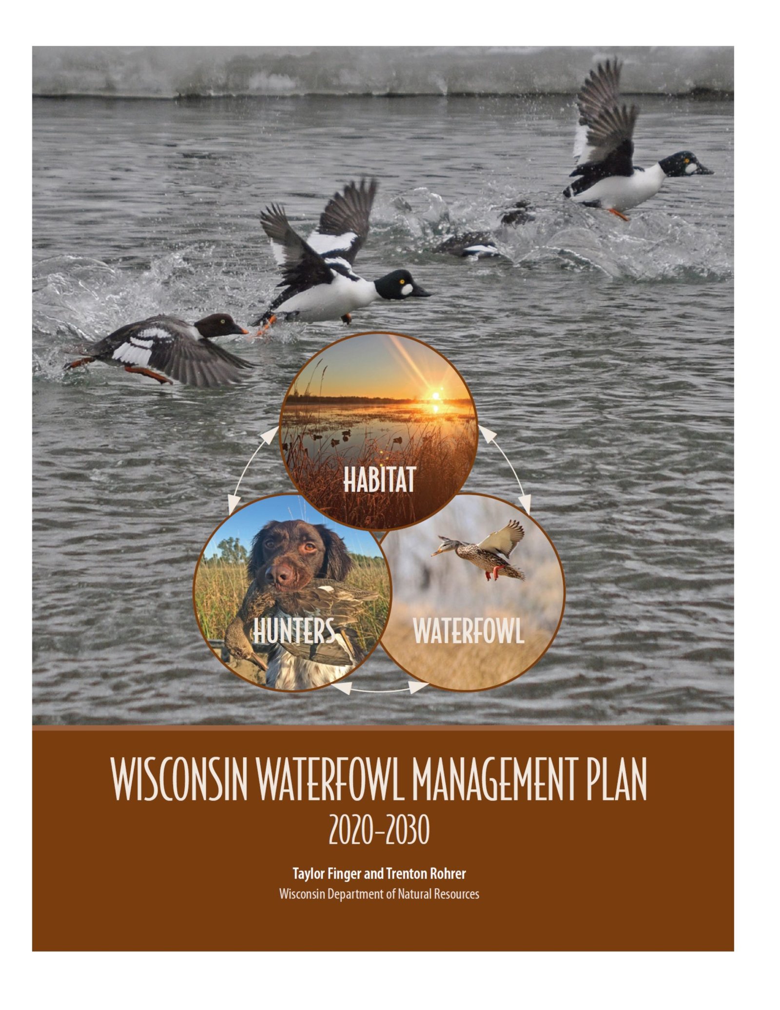 Updated Waterfowl Management Plan Now Available Wisconsin Waterfowl