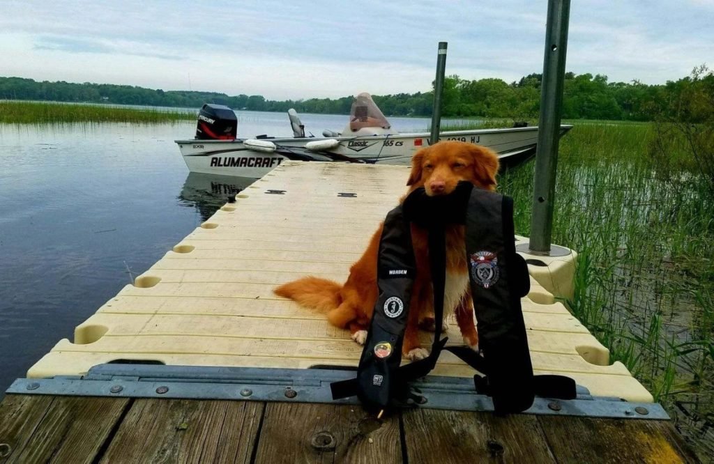 grizzly with life jacket Wisconsin Waterfowl Association