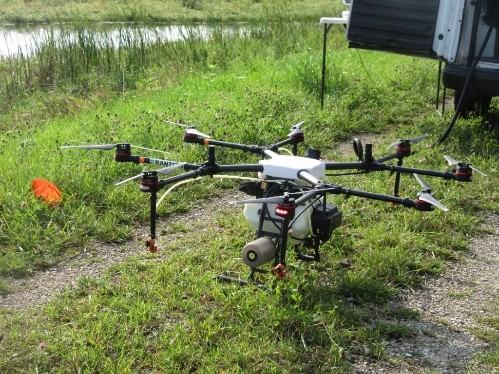 Waterfowl Stamp Project Highlight of the Month October, 2021