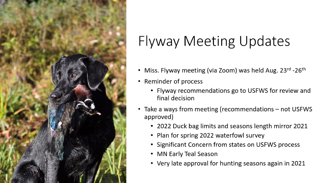 News From the Migratory Waterfowl Folks at the DNR Wisconsin