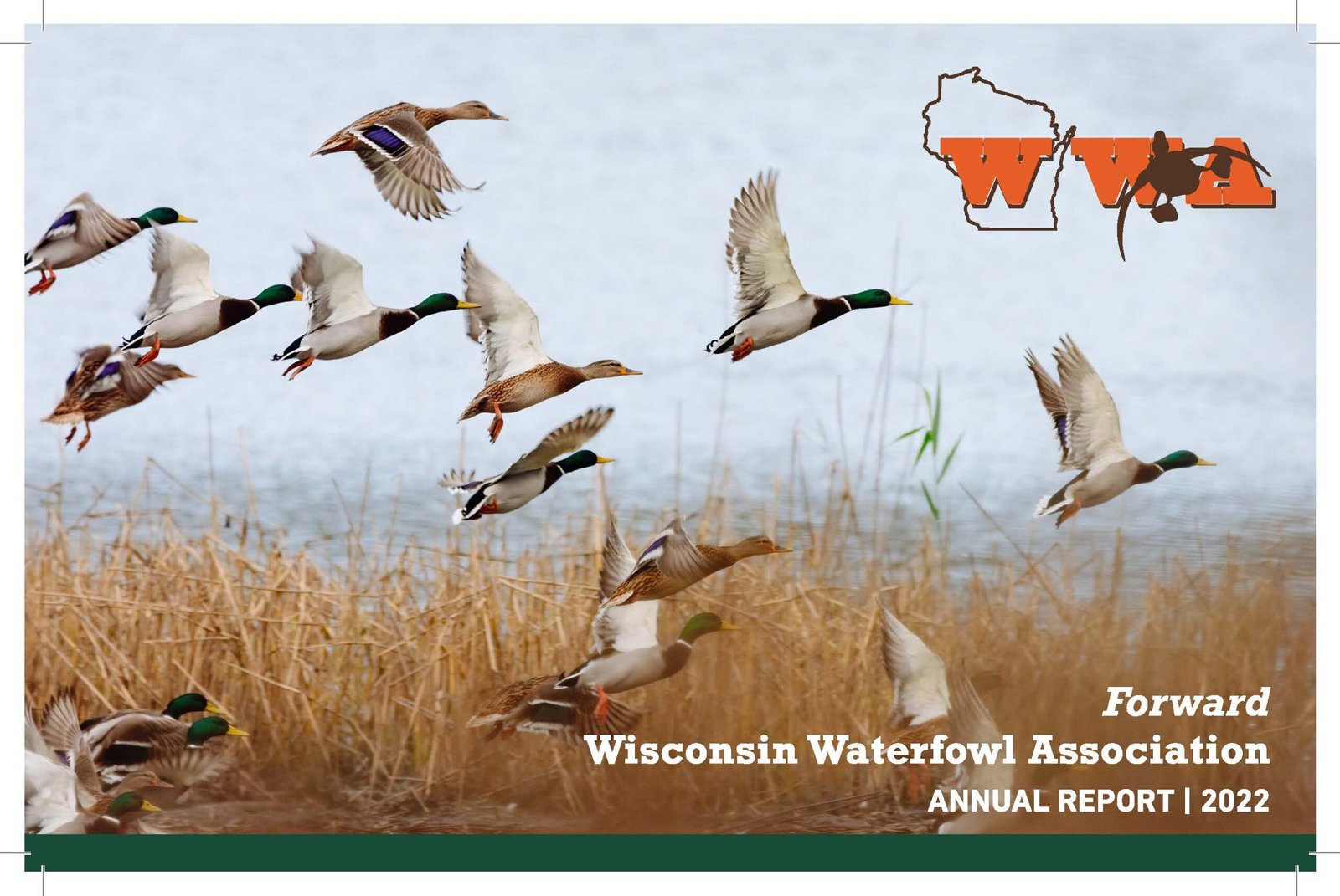 Some People Actually Read Annual Reports (Take 2) Wisconsin Waterfowl
